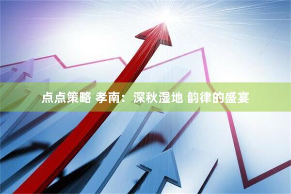 点点策略 孝南：深秋湿地 韵律的盛宴